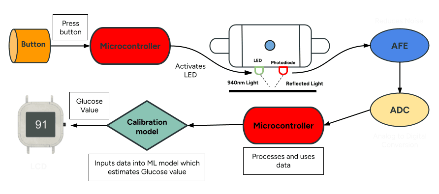 GlucoVision Technical Workflow